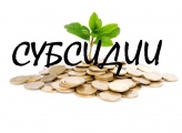 Предоставление субсидий на проведение опережающего обучения