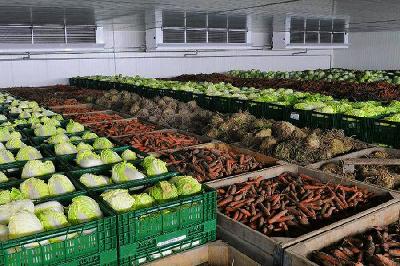 о начале приема заявочной документации по инвестиционным проектам по созданию и (или) модернизации картофеле- и (или) овощехранилищ