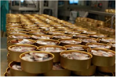 В городе Ставрополе начата реализация крупного инвестиционного проекта  «Завод по производству консервов»